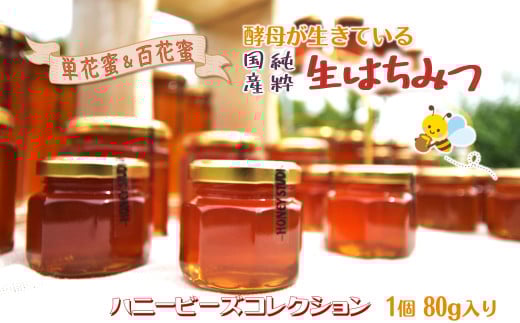 はちみつ 国産 非加熱 ハニービーズコレクション “しろいの季節”のはちみつ 80g 純粋生はちみつ