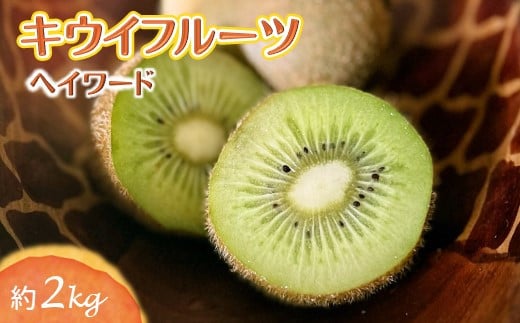 しろいのキウイ 約2kg ヘイワード 15〜17個 [11月下旬から発送]