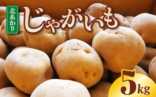 [先行予約]じゃがいも 5kg サイズいろいろ バラバラ 野菜 ジャガイモ ポテト キタアカリ きたあかり 訳あり 岩手県 金ケ崎町