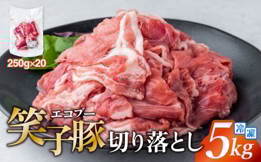 豚肉 切り落とし 小分け 5kg (250g×20) 真空パック 冷凍 笑子豚  岩手県 金ケ崎町