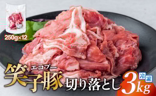 豚肉 切り落とし 小分け 3kg (250g×12) 真空パック 冷凍 笑子豚  岩手県 金ケ崎町