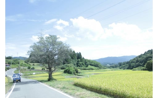(6) 使途は指定しない