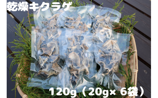 乾燥キクラゲ 120g