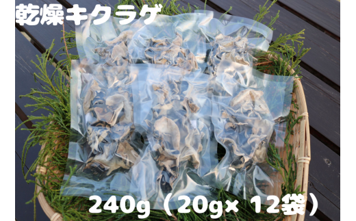 乾燥キクラゲ 240g
