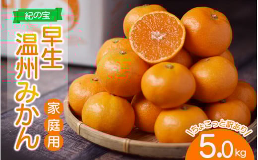 訳あり品 ご家庭用 たにぐち農園の早生温州みかん(マルチ栽培) 5kg【2025年11月下旬~12月中旬に順次発送】 / わけあり 訳あり ご家庭用 家庭用 不揃い 早生 温州 みかん 蜜柑