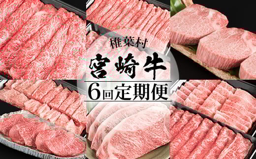【定期便 6回】受賞歴多数!! 宮崎牛を6ヶ月で合計4.9キロ 宮崎牛づくし【送料無料 宮崎県 椎葉村 秘境 国産 宮崎県産 ブランド牛 牛肉 牛 和牛 肉 肩ロース うで ヒレ もも ばら ステーキ すき焼き しゃぶしゃぶ 焼肉 BBQ 牛丼 うまい 美味しい おすすめ おかず 多用途 ギフト 贈り物 プレゼント 祝い パーティー 誕生日 記念日 お土産 敬老 お中元 お歳暮】【MT-39】