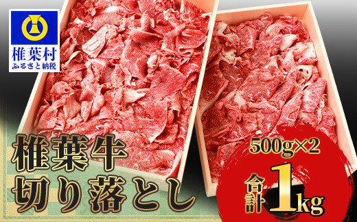 宮崎県産 椎葉牛 切り落とし 1kg 黒毛和牛 [宮崎県 椎葉村 国産 国産牛 黒毛和牛 和牛 牛 牛肉 赤身 にく おにく 肉 お肉 すきやき すき焼き カレー 炒め物 冷凍 ごちそう 贈物 日本三大秘境][TK-29]