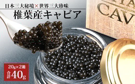 【桐箱入り】HEIKE CAVIAR 40ｇ 【宮崎県 椎葉村】【世界三大珍味×日本三大秘境】［宮崎 椎葉 国産 ちょうざめ チョウザメ きゃびあ キャビア 40g 魚卵 卵 チョウザメ お酒 魚介 珍味 加工品 冷凍 高級 贅沢 パーティー おつまみ グルメ ギフト 記念日 誕生日 プレゼント お祝い 贈り物 贈答 桐箱 希少］【SZ-105】