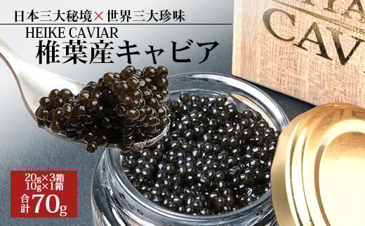【桐箱入り】HEIKE CAVIAR 70ｇ 【世界三大珍味×日本三大秘境】［宮崎 椎葉 国産 ちょうざめ チョウザメ きゃびあ キャビア 70g 魚卵 卵 お酒 魚介 珍味 加工品 食べ物 冷凍 高級 贅沢 お取り寄せグルメ ディナー パーティー おつまみ グルメ ギフト 記念日 誕生日 プレゼント お祝い 贈り物 贈答 桐箱 希少］【SZ-109】