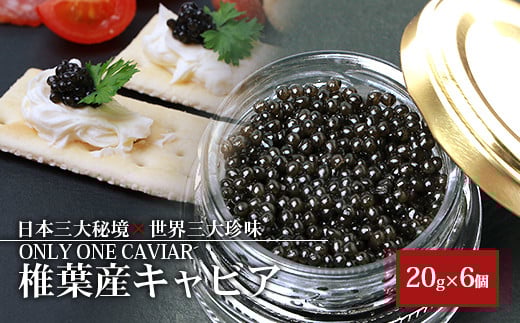 HEIKE CAVIAR 20ｇ×６個【合計120g】【世界三大珍味×日本三大秘境】［宮崎 椎葉 国産 きゃびあ キャビア チョウザメ 魚卵 卵 魚介 珍味 加工品 冷凍 高級 贅沢 お取り寄せグルメ ディナー パーティー おつまみ グルメ ギフト 記念日 誕生日 母の日 父の日 お中元 お歳暮 お祝い 贈り物 贈答 桐箱 希少］【SZ-112】