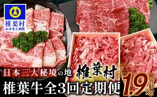 お試し定期便 【 定期便 3回 】 総重量 1,900g 牛肉 椎葉牛の スライス肉 ＆ 切り落とし肉 定期便 【 日本三大秘境 椎葉村 育ちの黒毛和牛 】[ 牛肉 定期便 定期配送 肉 スライス肉 切り落とし肉 A5等級指定 黒毛和牛 ブランド牛 A5ランク おすすめ 送料無料 ] TK-100