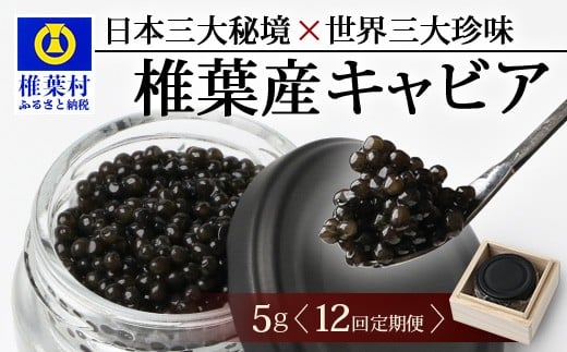 〈12回定期便〉【桐箱入り】 国産 キャビア 5g × 12回配送 計60g【世界三大珍味×日本三大秘境】［宮崎 椎葉 国産 ちょうざめ チョウザメ きゃびあ キャビア 魚卵 卵 定期便 定期 60g 12回配送 お酒 魚介 珍味 加工品 冷凍 高級 贅沢 グルメ ディナー パーティー おつまみ ギフト 記念日 誕生日 プレゼント お祝い 贈答 贈答品 希少］SZ-118_12teiki