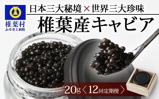 〈12回定期便〉【桐箱入り】 国産 キャビア 20g × 12回配送 計240g【世界三大珍味×日本三大秘境】［宮崎 椎葉 国産 ちょうざめ チョウザメ きゃびあ キャビア 魚卵 卵 定期便 定期 240g 12回配送 クリーミー お酒 魚介 珍味 加工品 冷凍 高級 贅沢 グルメ ディナー パーティー おつまみ ギフト 記念日 プレゼント お祝い 贈答 贈答品 希少］SZ-103_12teiki