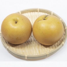 栃木県小山市産 にっこり梨 5kg【1334082】