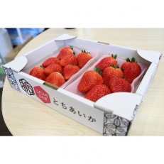 【いちご王国の逸品】小山市産・「とちあいか」 280g×2P【配送不可地域:離島・北海道・沖縄・信越、北陸・東海・近畿・中国・四国・九州】【1260981】