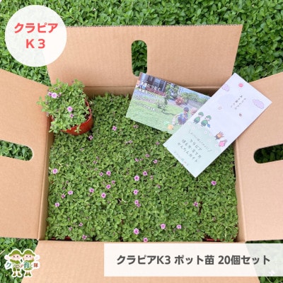 グランドカバー植物「クラピアK3」ポット苗20ポットセット【お申込書返信後、ご希望日に合わせて発送】【1570187】