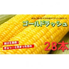 【28本】朝採れ!新鮮とうもろこし「ゴールドラッシュ」【配送不可地域:離島・北海道・沖縄・信越、北陸・東海・近畿・中国・四国・九州】【1487435】