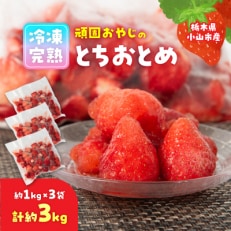 頑固おやじの冷凍完熟とちおとめ合計約3kg(約1kgX3個)【配送不可地域：離島】【1218277】