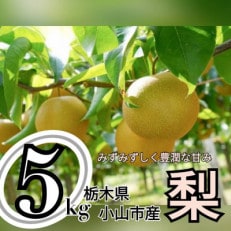 ずっしり5kg【にっこり】　栃木県小山市産の梨【1441930】