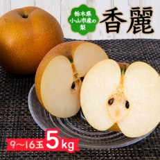 栃木県小山市産「梨」香麗 5kg【1413077】