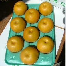 栃木県小山市産「梨」豊水 5kg【1515773】