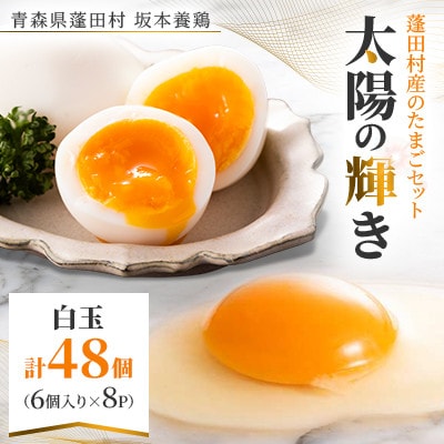 蓬田村産のたまごセット「太陽の輝き」白玉 48個(6個入り×8P)【1593015】