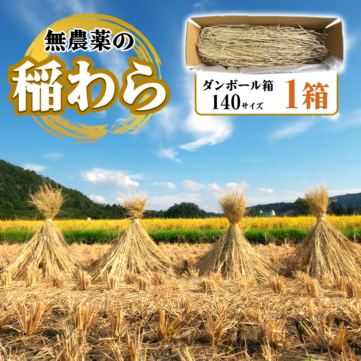 [先行予約] 稲わら・無農薬 1箱 [JAS有機認定又は転換中 日光ダイヤ舞の藁] 令和7年度|2025年度 有機栽培稲わら 無農薬 オーガニック 国産 産地直送 わら納豆づくり しめ縄づくり 正月飾りづくり 野菜の敷き藁 ペットの敷き藁 [0567]