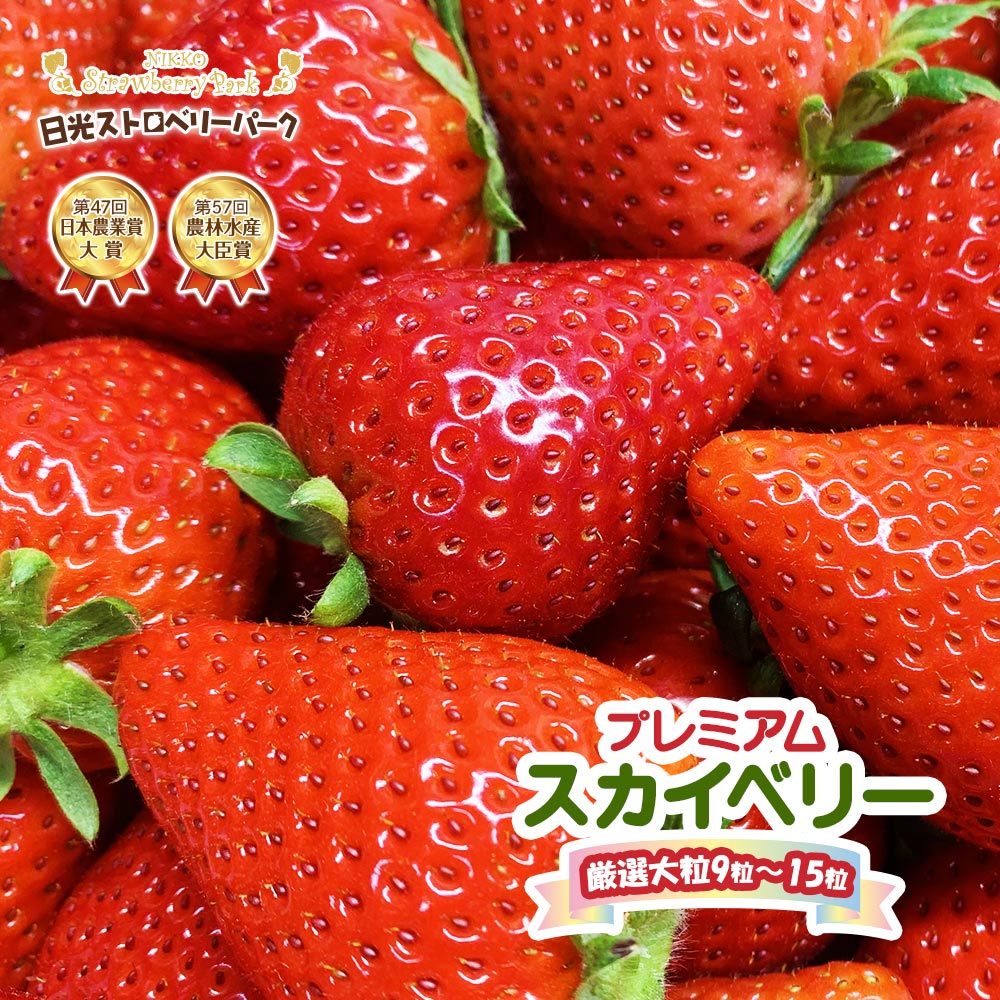 [先行予約] プレミアム『スカイベリー』大粒のみ厳選 9粒から15粒詰 約420g [2026年1月上旬より順次発送]|日光ストロベリーパーク スカイベリー いちご イチゴ 苺 フルーツ プレミアムスカイベリー 果物 産地直送 日本農業賞大賞受賞・農林水産大臣賞受賞 [0643]