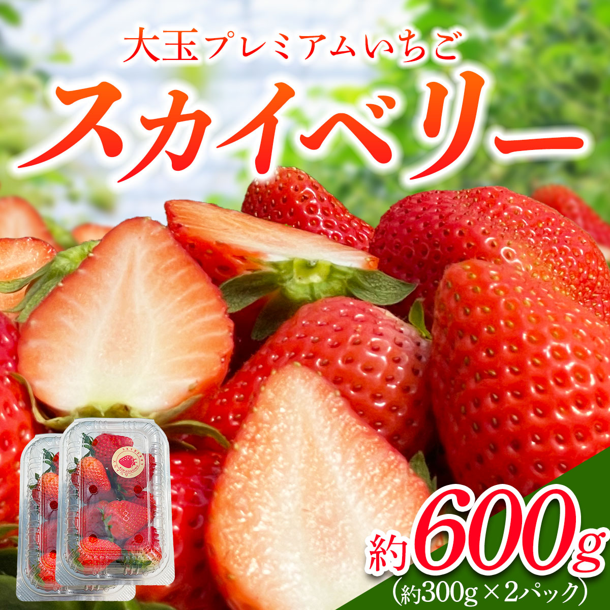 [2026年1月から発送 数量限定]「スカイベリー 2パック」計約600g 贈答用化粧箱入り 約4人分|スカイベリー いちご イチゴ 苺 果物 フルーツ 日光産 栃木県産 期間限定 数量限定 [0675]