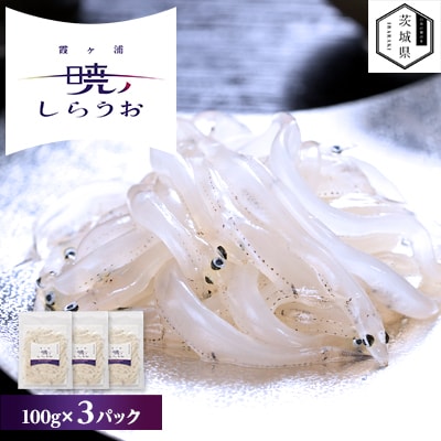 【先行予約】霞ヶ浦 暁のしらうお 100g×3パック【配送不可地域:離島・沖縄】【1583295】