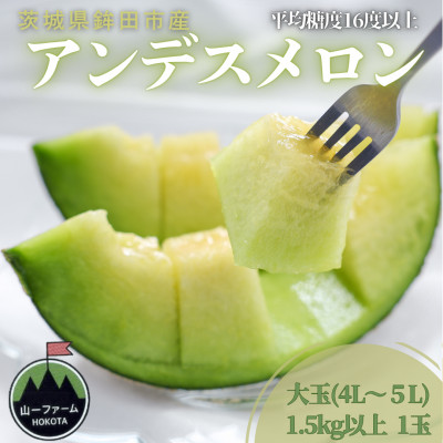 【先行受付】令和8年4月順次発送 茨城県鉾田市 山一ファーム アンデスメロン 大玉 4L~5L・1玉【配送不可地域:離島・沖縄】【1590727】