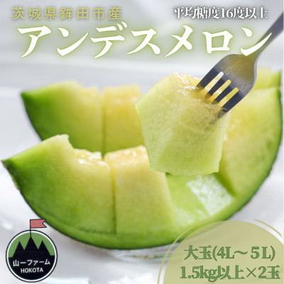 【先行受付】令和8年4月順次発送 茨城県鉾田市 山一ファーム アンデスメロン 大玉 4L~5L・2玉【配送不可地域:離島・沖縄】【1590729】