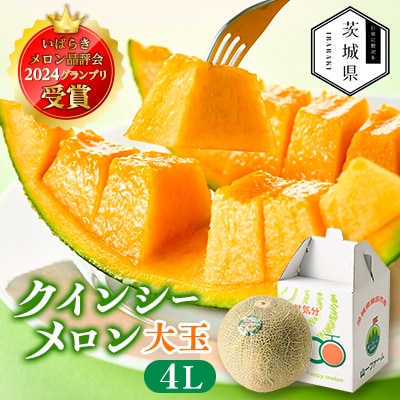 【先行受付】令和8年4月順次発送 茨城県鉾田市 山一ファーム クインシーメロン 大玉4L~5L・1玉【配送不可地域:離島・沖縄】【1590730】