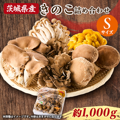 茨城県城里町産 きのこの詰め合わせ Sサイズ 約1kg【配送不可地域:離島・沖縄】【1593968】