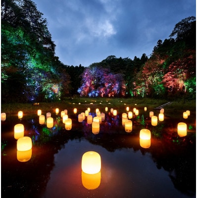 チームラボ 幽谷隠田跡鑑賞券【大人(高校生以上)2名分+子ども(小・中学生)2名分】【配送不可地域：離島・沖縄】【1591346】