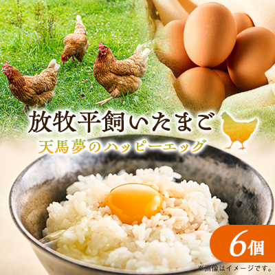 天馬夢のハッピーエッグ　6個【配送不可地域：離島・沖縄】【1594978】