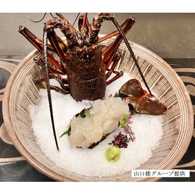 常陸乃国いせ海老 1尾(600~700g) 冷凍【配送不可地域:離島・沖縄】【1597555】
