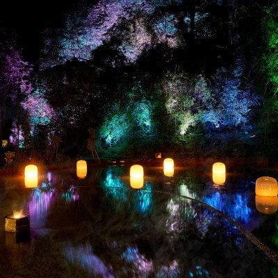 「チームラボ 幽谷隠田跡」鑑賞・温泉付きセット券【大人(高校生以上)1名分】【配送不可地域：離島・沖縄】【1600043】