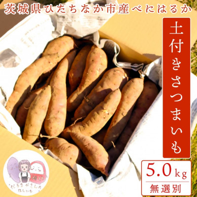 茨城県産　紅はるか　ほしいも　訳あり　箱入れ5キロ 楽天市場】【ポイント10倍】茨城県産 紅はるか 干しいも 600g