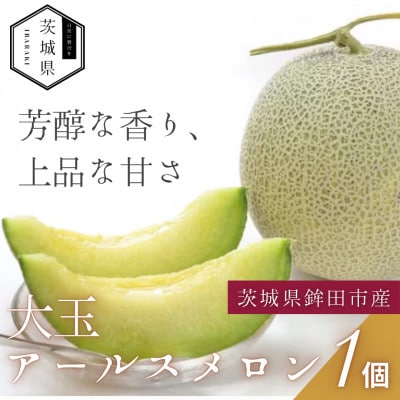 茨城県鉾田市産 アールスメロン 2.0kg以上×1玉【配送不可地域：離島・沖縄】【1644495】