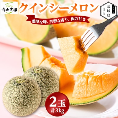 【内山農園】いばらきメロンコンテスト2025クインシーメロン(2玉3kg)2026年5月より発送開始【配送不可地域:離島・沖縄】【1645300】