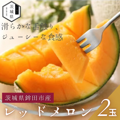 【優秀賞受賞農家直送】鉾田市産レッドメロン 1.4kg以上×2玉 (※26年5月~発送予定)【配送不可地域:離島・沖縄】【1655542】
