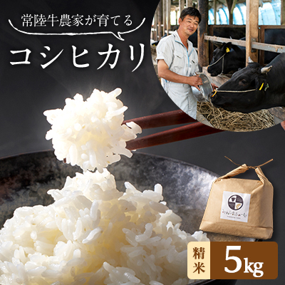 令和7年産 茨城県産 常陸牛農家が育てた コシヒカリ 精米 5kg【配送不可地域：離島・沖縄】【1354560】