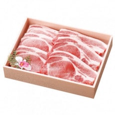 茨城銘柄豚ローズポークとんかつ・ソテー用 120g×6枚【配送不可地域：離島・沖縄】【1364511】