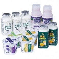 おみたまヨーグルトセット【配送不可地域：離島・沖縄】【1365134】