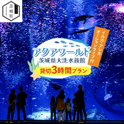 アクアワールド茨城県大洗水族館　貸切3時間プラン(イルカ・アシカオーシャンライブ付)【配送不可地域：離島・沖縄】【1424655】