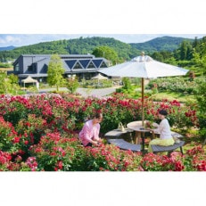 いばらきフラワーパークで使える1万円分商品券付きペアチケット【配送不可地域：離島・沖縄】【1455656】