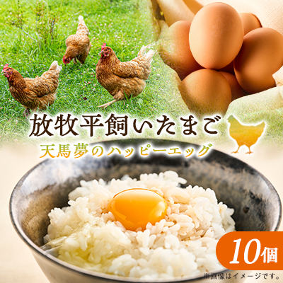 天馬夢のハッピーエッグ　10個【配送不可地域：離島・沖縄】【1556143】