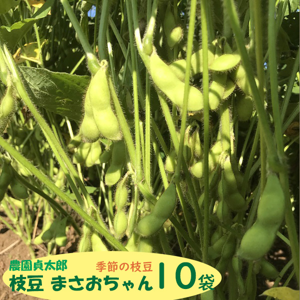 【7月下旬より順次発送】農園貞太郎 枝豆まさおちゃん 10袋(入金期限:2026.7.10)