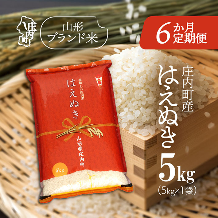 <12月中旬発送>庄内米6か月定期便!はえぬき 5kg(入金期限:2025.11.25)